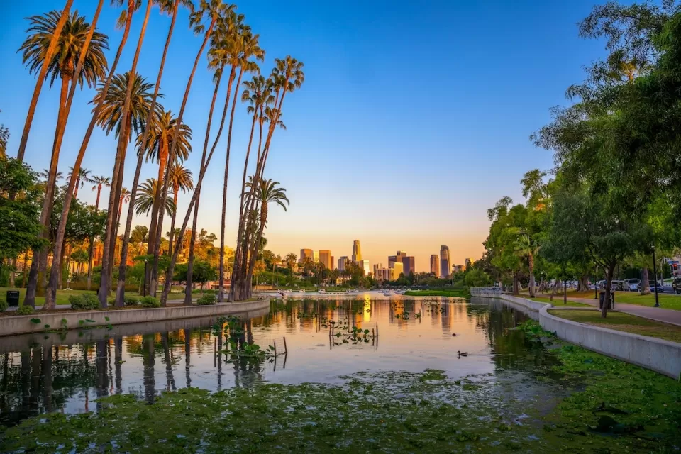 View of downtown Los Angeles at dusk with Echo Park lake and palm trees in foreground.